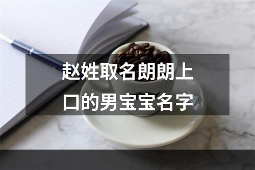 赵姓取名朗朗上口的男宝宝名字