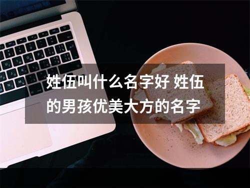 姓伍叫什么名字好 姓伍的男孩优美大方的名字