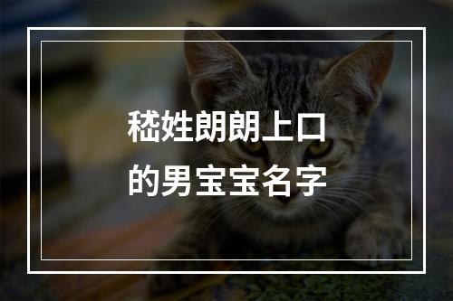 嵇姓朗朗上口的男宝宝名字
