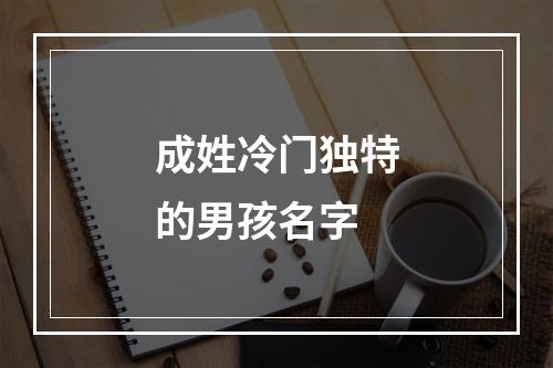 成姓冷门独特的男孩名字