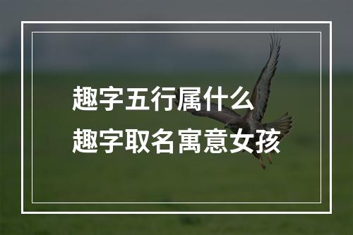 趣字五行属什么 趣字取名寓意女孩