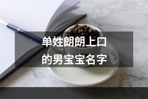 单姓朗朗上口的男宝宝名字