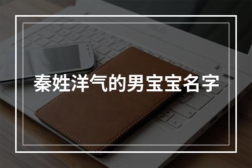 秦姓洋气的男宝宝名字