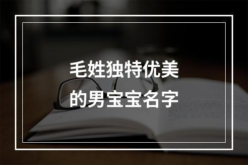 毛姓独特优美的男宝宝名字
