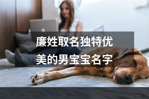 廉姓取名独特优美的男宝宝名字