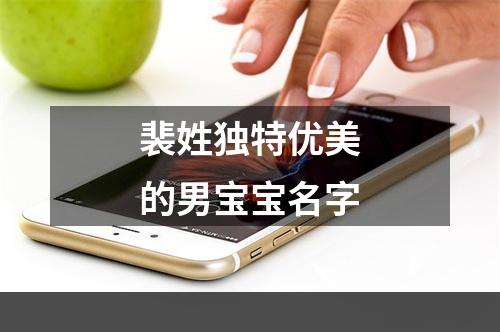 裴姓独特优美的男宝宝名字