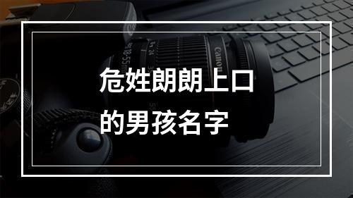 危姓朗朗上口的男孩名字