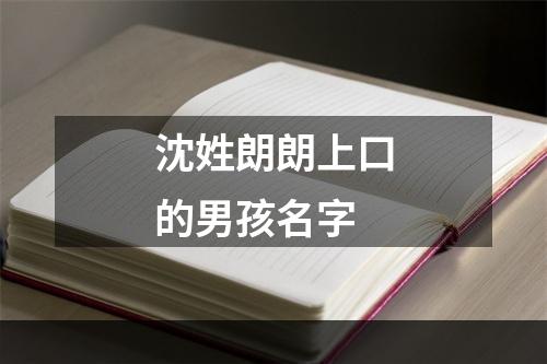 沈姓朗朗上口的男孩名字