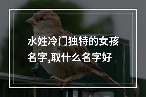 水姓冷门独特的女孩名字,取什么名字好