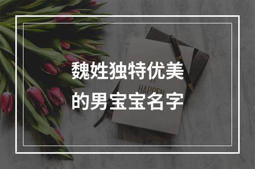 魏姓独特优美的男宝宝名字