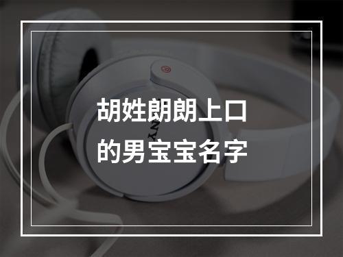 胡姓朗朗上口的男宝宝名字