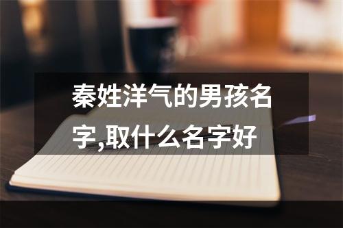 秦姓洋气的男孩名字,取什么名字好
