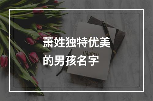萧姓独特优美的男孩名字