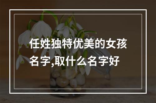 任姓独特优美的女孩名字,取什么名字好