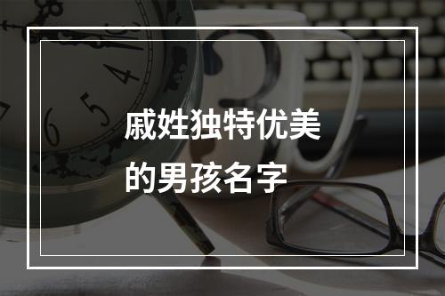 戚姓独特优美的男孩名字