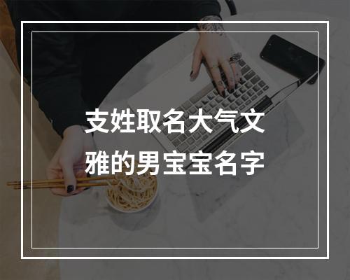 支姓取名大气文雅的男宝宝名字