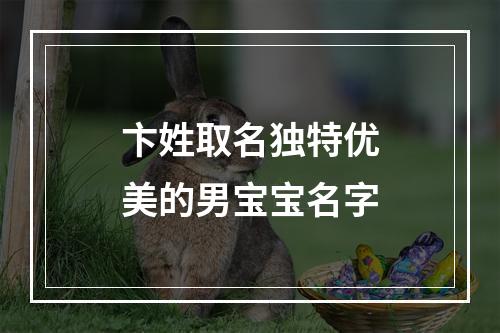 卞姓取名独特优美的男宝宝名字