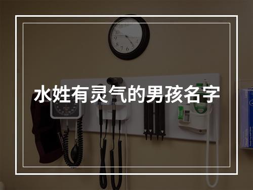 水姓有灵气的男孩名字