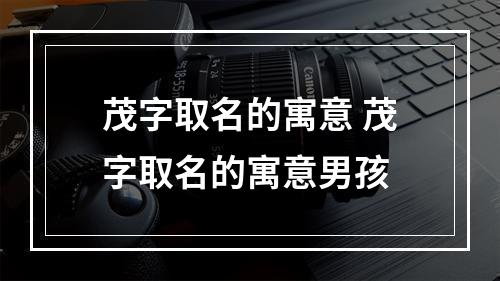 茂字取名的寓意 茂字取名的寓意男孩