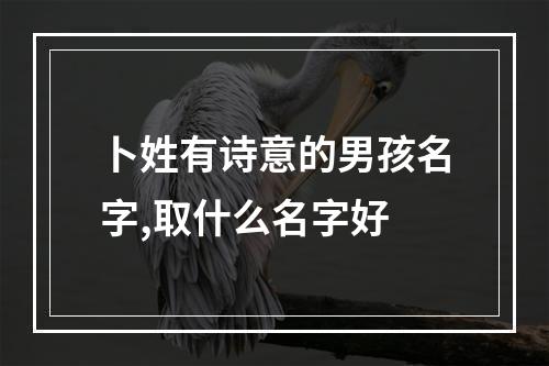 卜姓有诗意的男孩名字,取什么名字好