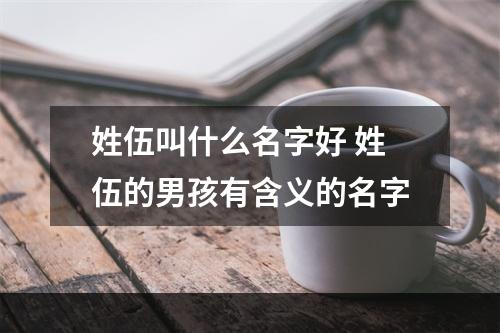 姓伍叫什么名字好 姓伍的男孩有含义的名字