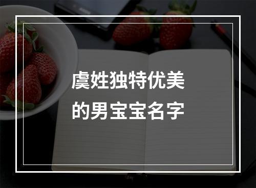 虞姓独特优美的男宝宝名字