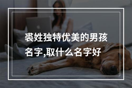 裘姓独特优美的男孩名字,取什么名字好