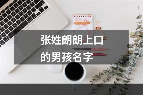 张姓朗朗上口的男孩名字