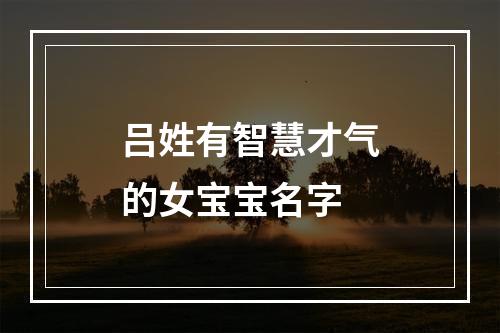 吕姓有智慧才气的女宝宝名字
