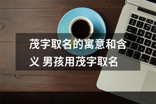 茂字取名的寓意和含义 男孩用茂字取名