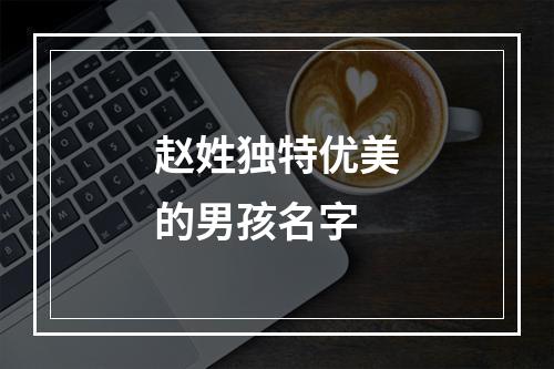 赵姓独特优美的男孩名字