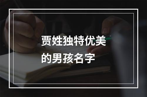 贾姓独特优美的男孩名字