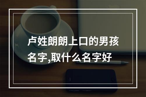卢姓朗朗上口的男孩名字,取什么名字好