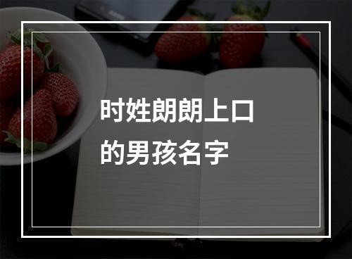 时姓朗朗上口的男孩名字