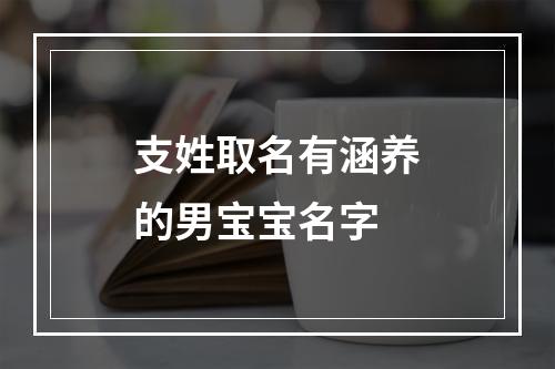 支姓取名有涵养的男宝宝名字