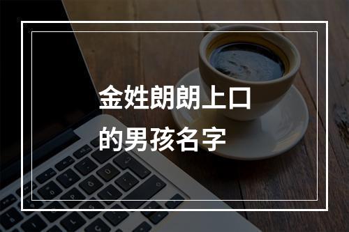 金姓朗朗上口的男孩名字