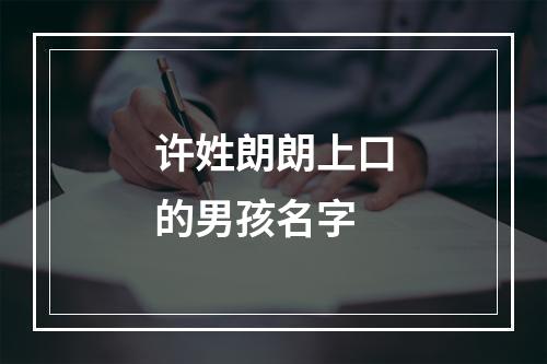 许姓朗朗上口的男孩名字