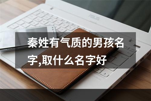 秦姓有气质的男孩名字,取什么名字好