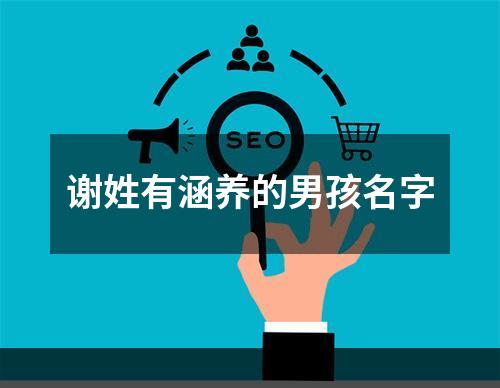 谢姓有涵养的男孩名字