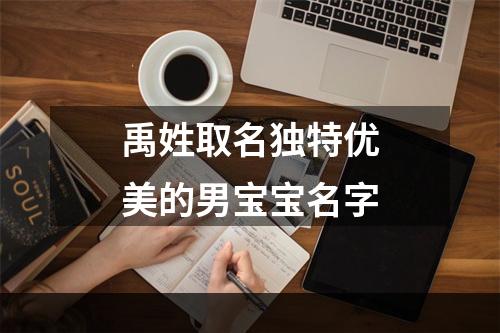 禹姓取名独特优美的男宝宝名字