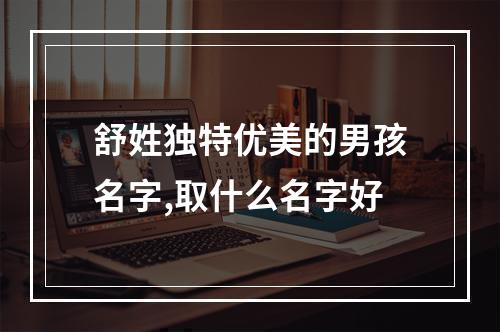 舒姓独特优美的男孩名字,取什么名字好