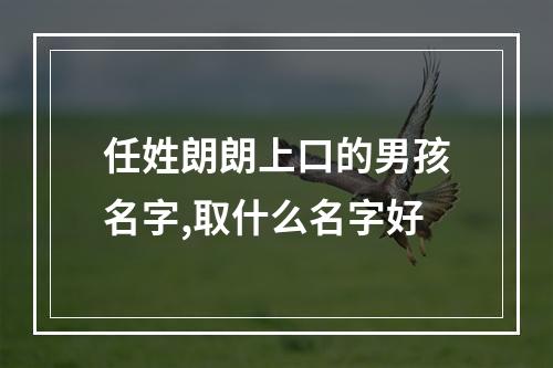 任姓朗朗上口的男孩名字,取什么名字好