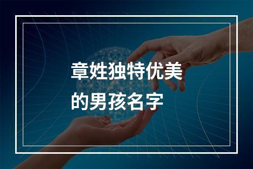 章姓独特优美的男孩名字