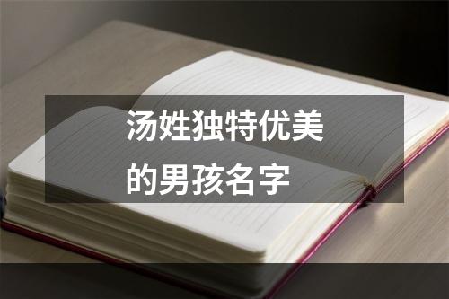 汤姓独特优美的男孩名字