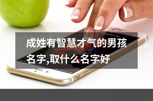 成姓有智慧才气的男孩名字,取什么名字好