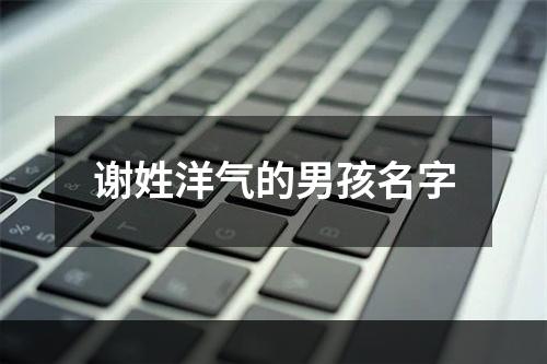 谢姓洋气的男孩名字