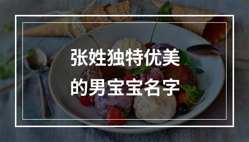 张姓独特优美的男宝宝名字