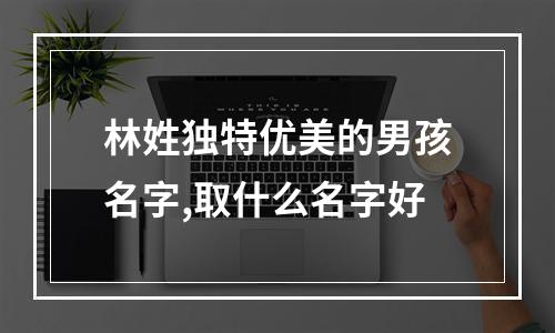 林姓独特优美的男孩名字,取什么名字好