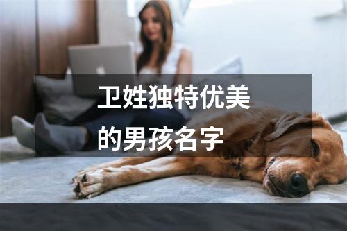 卫姓独特优美的男孩名字