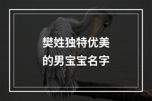 樊姓独特优美的男宝宝名字